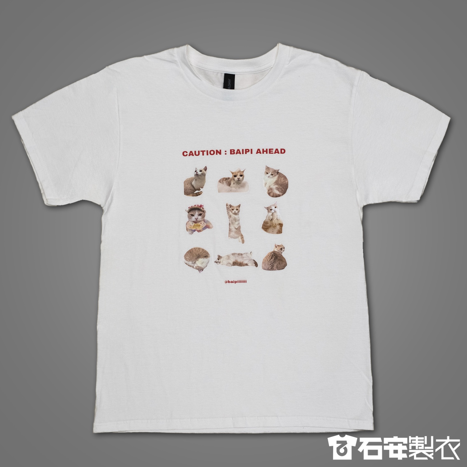 毛孩寫真團體服2
