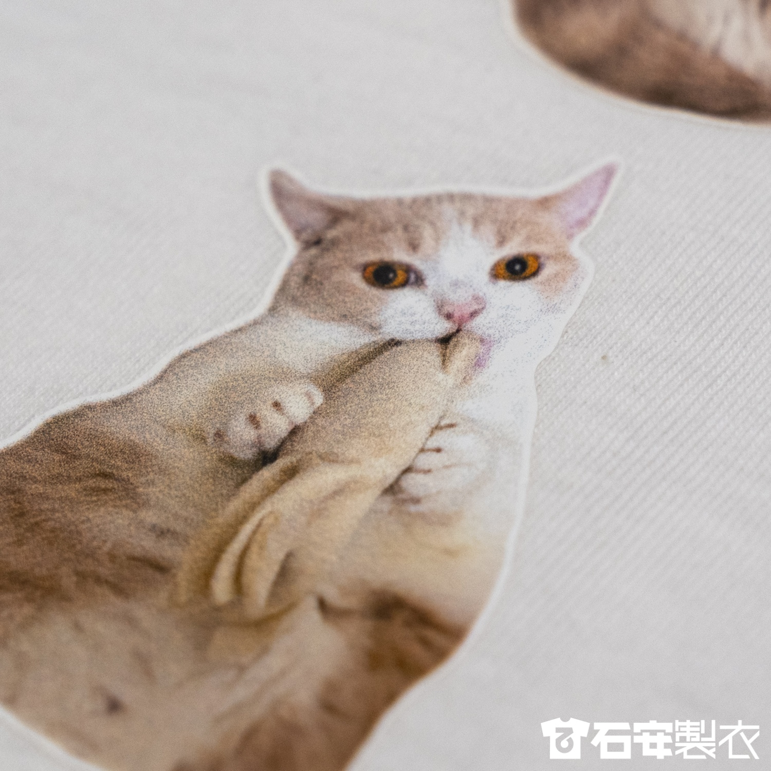 毛孩寫真團體服5